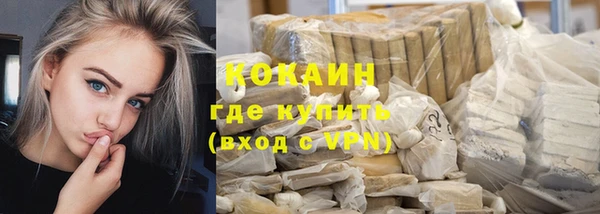 тгк Каменногорск