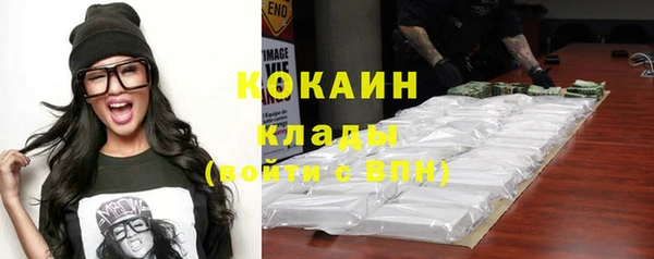 тгк Каменногорск