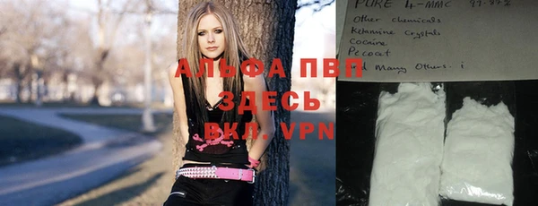 тгк Каменногорск