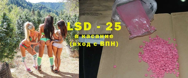 тгк Каменногорск