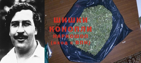 COCAINE Каменка