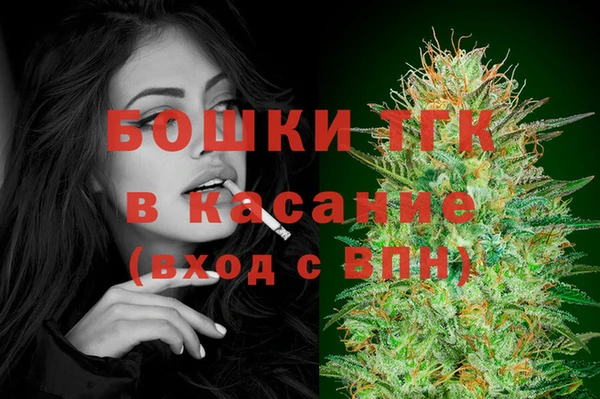 тгк Каменногорск